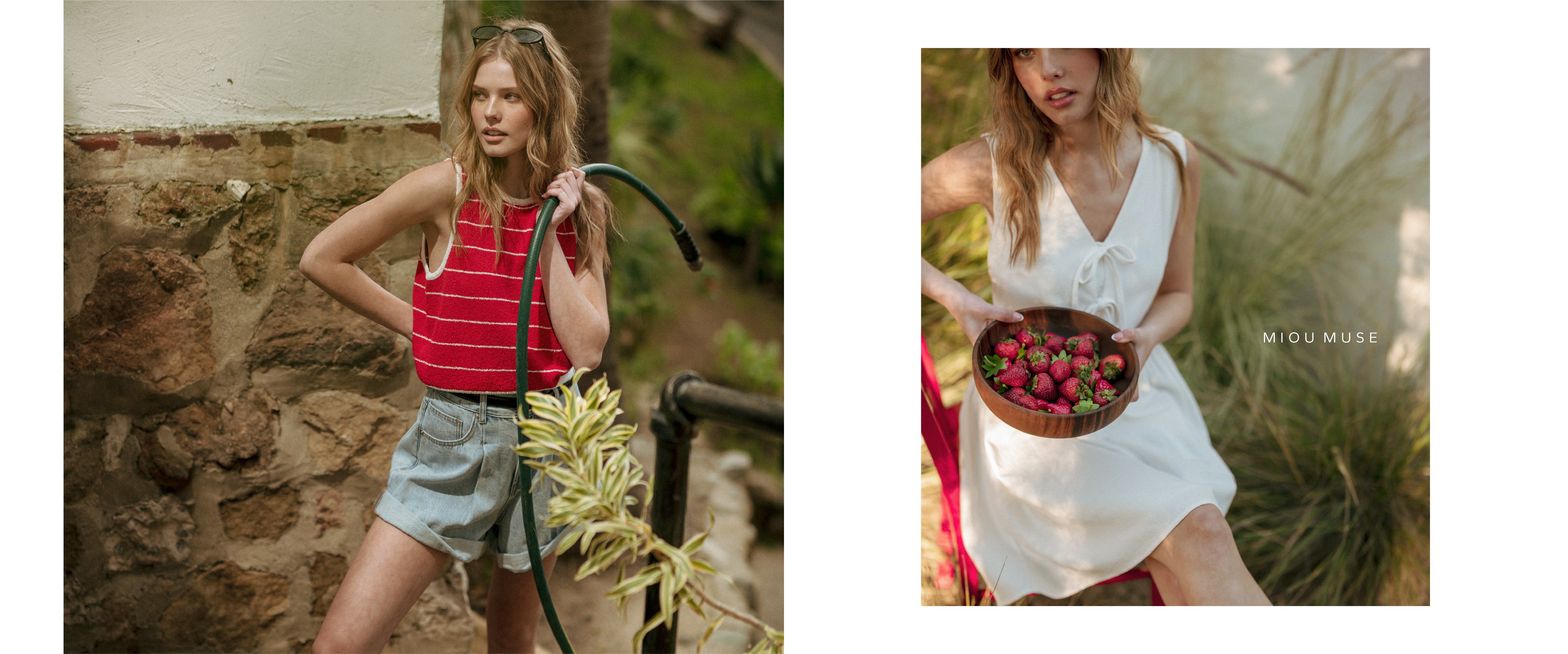 T6557 & P6153 | D5953